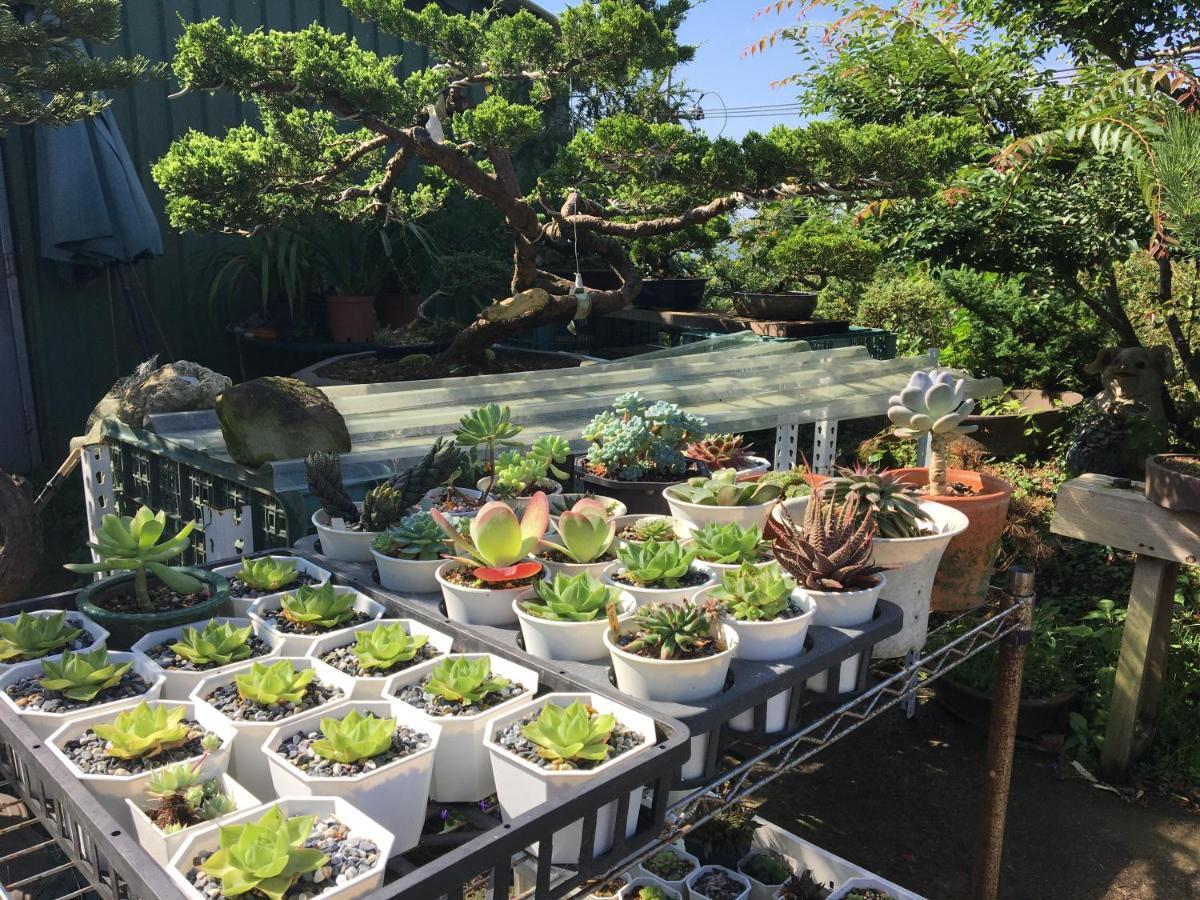 传说民宿 奋起湖 外观 照片